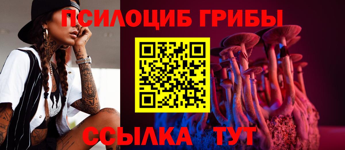 Барабинск  даркнет сайт  Вход с VPN  Галлюциногенные грибы Psilocybine cubensis 
